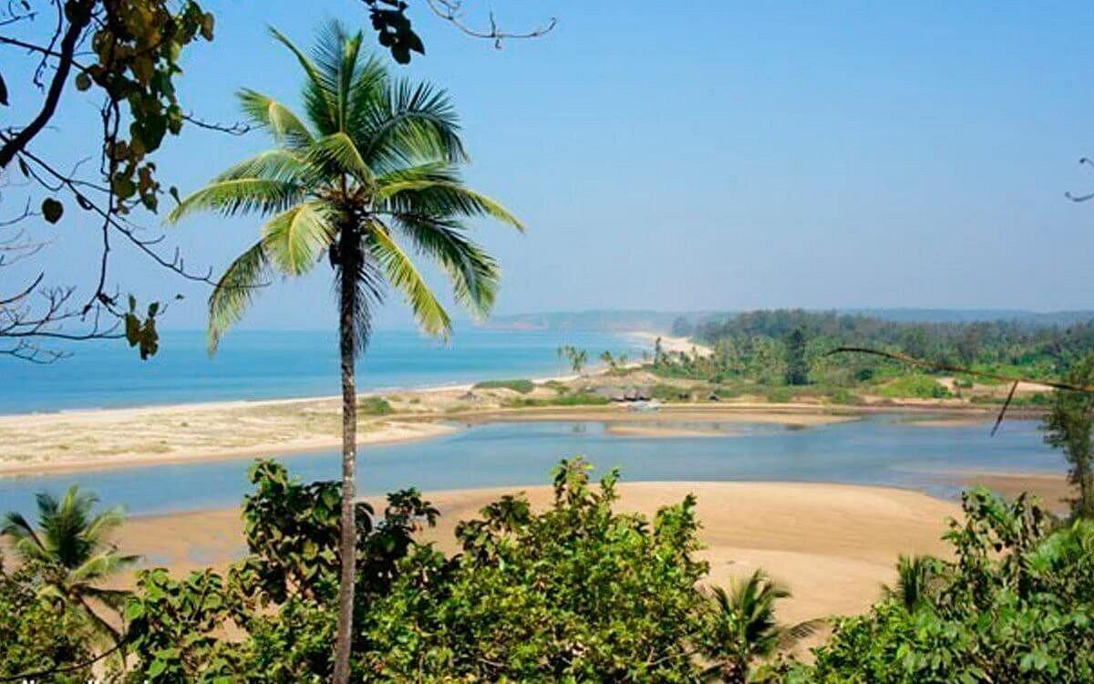 Morjim, North Goa