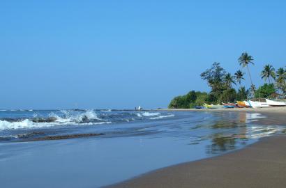 Morjim, North Goa